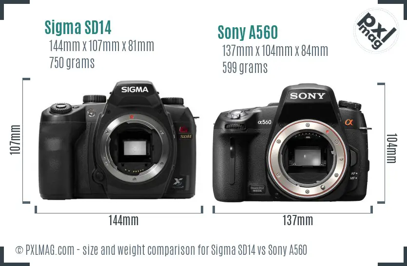 Sigma SD14 vs Sony A560 size comparison