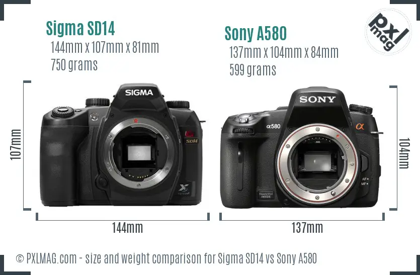 Sigma SD14 vs Sony A580 size comparison Sigma SD14 vs Sony A580 size comparison