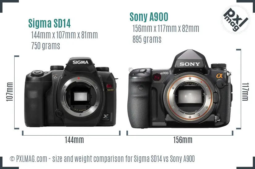 Sigma SD14 vs Sony A900 size comparison