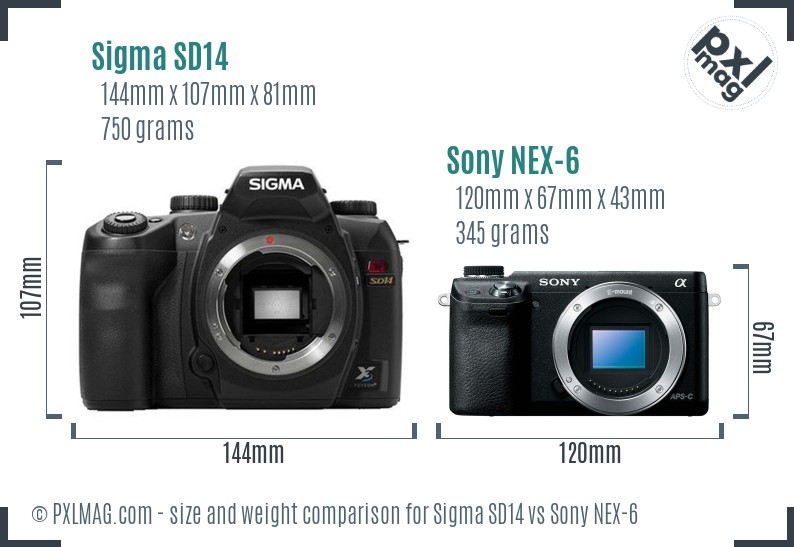 Sigma SD14 vs Sony NEX-6 size comparison