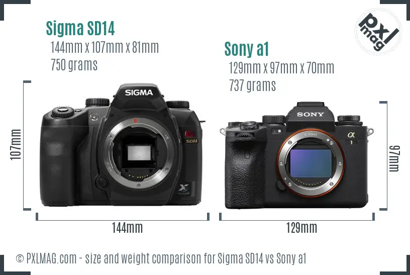Sigma SD14 vs Sony a1 size comparison
