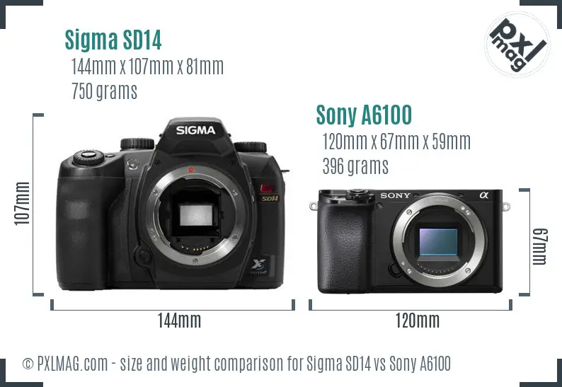 Sigma SD14 vs Sony A6100 size comparison