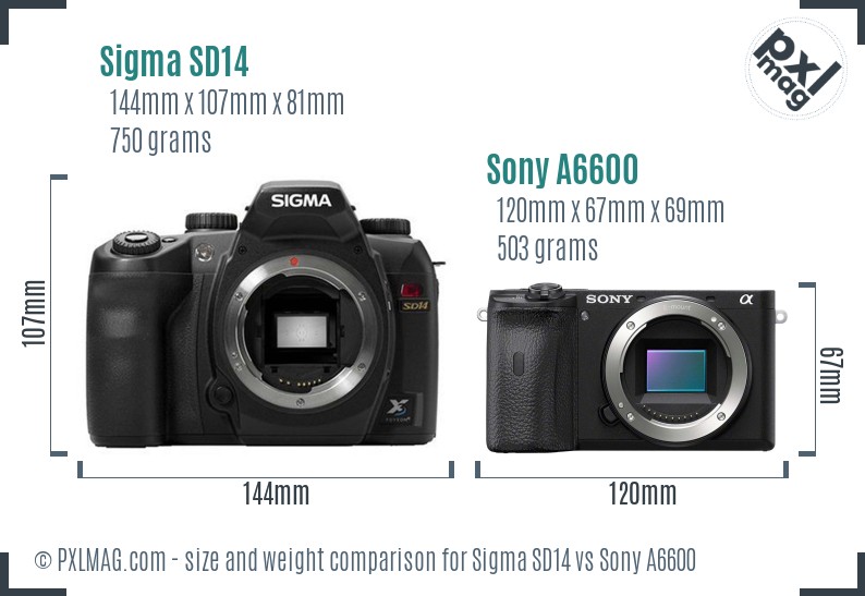 Sigma SD14 vs Sony A6600 size comparison