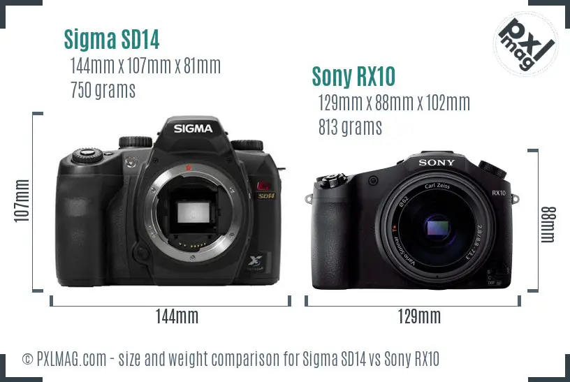 Sigma SD14 vs Sony RX10 size comparison Sigma SD14 vs Sony RX10 size comparison