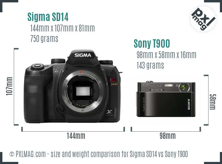 Sigma SD14 vs Sony T900 size comparison