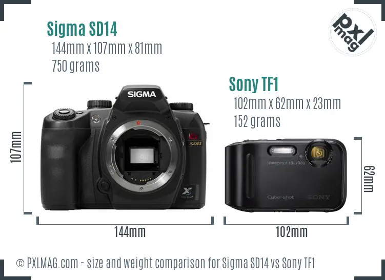 Sigma SD14 vs Sony TF1 size comparison