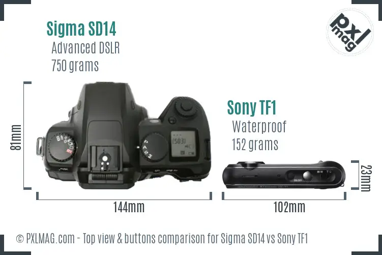Sigma SD14 vs Sony TF1 top view buttons comparison
