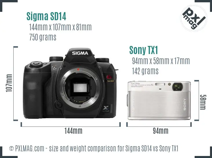 Sigma SD14 vs Sony TX1 size comparison