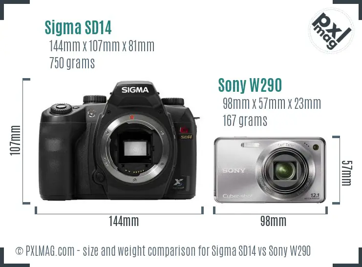 Sigma SD14 vs Sony W290 size comparison