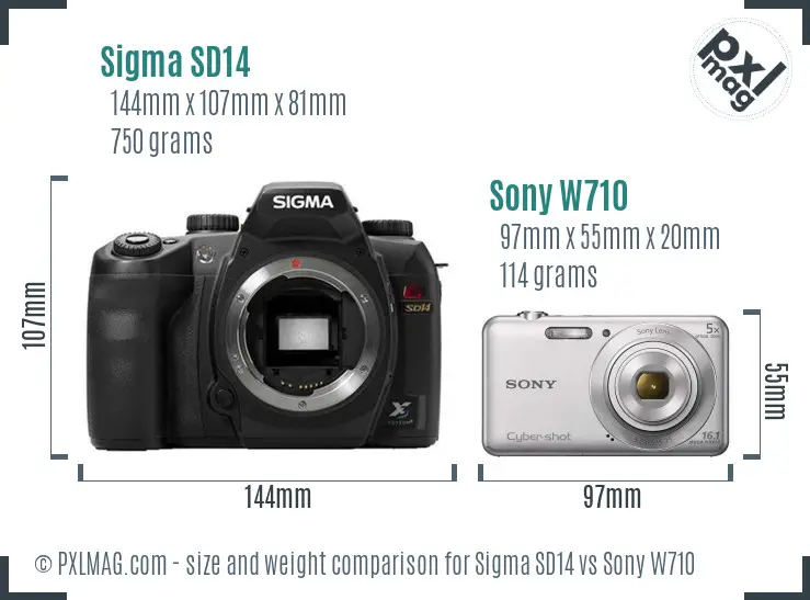 Sigma SD14 vs Sony W710 size comparison Sigma SD14 vs Sony W710 size comparison