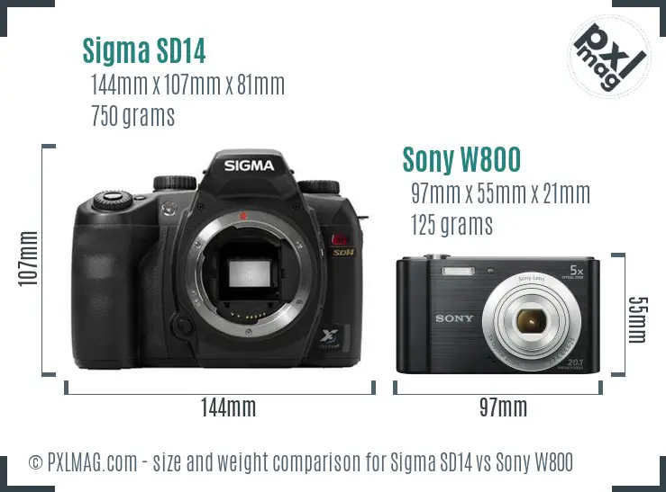 Sigma SD14 vs Sony W800 size comparison