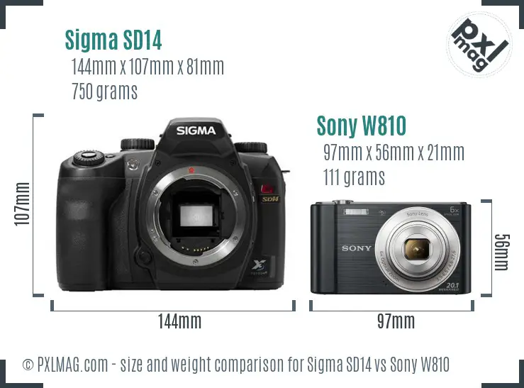 Sigma SD14 vs Sony W810 size comparison Sigma SD14 vs Sony W810 size comparison