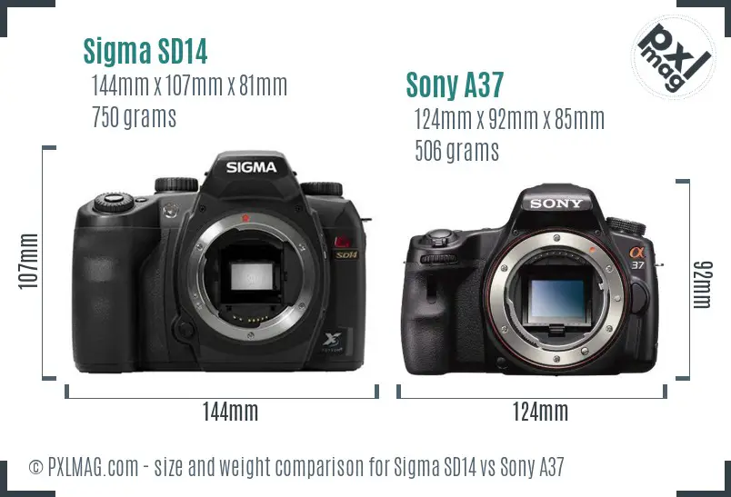 Sigma SD14 vs Sony A37 size comparison