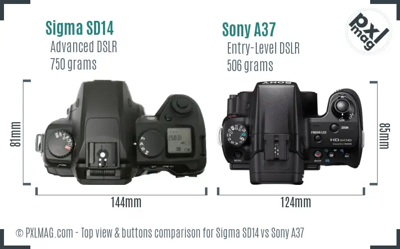 Sigma SD14 vs Sony A37 top view buttons comparison