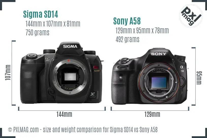 Sigma SD14 vs Sony A58 size comparison