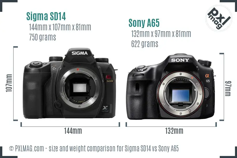 Sigma SD14 vs Sony A65 size comparison