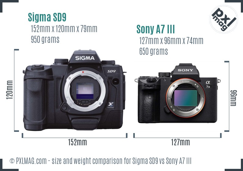 Sigma SD9 vs Sony A7 III size comparison