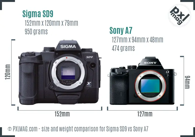 Sigma SD9 vs Sony A7 size comparison