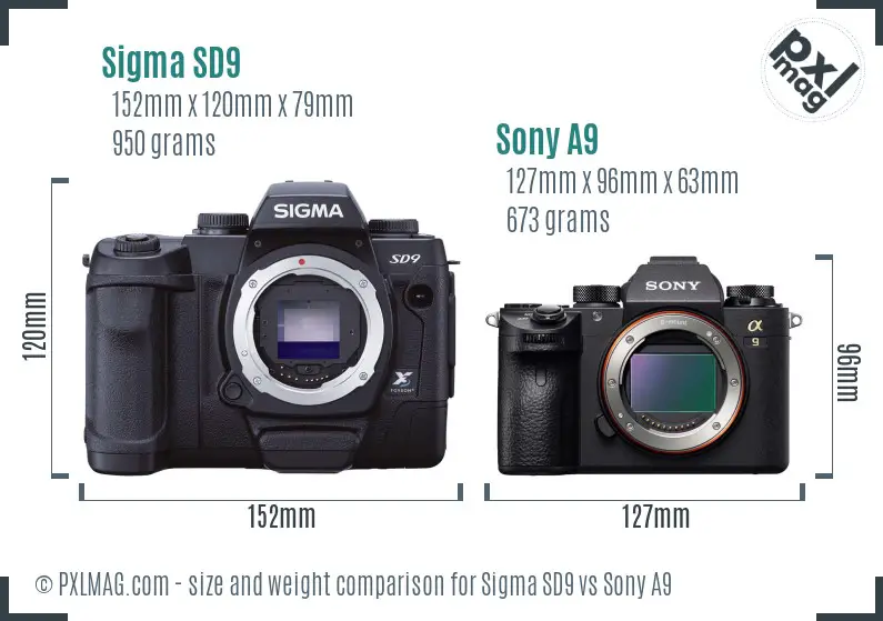 Sigma SD9 vs Sony A9 size comparison