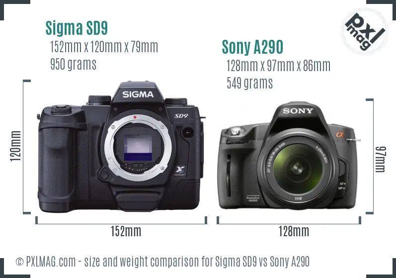 Sigma SD9 vs Sony A290 size comparison