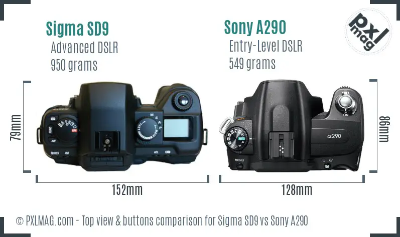 Sigma SD9 vs Sony A290 top view buttons comparison