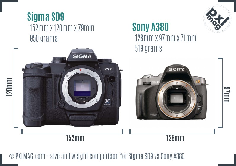 Sigma SD9 vs Sony A380 size comparison