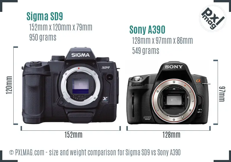 Sigma SD9 vs Sony A390 size comparison Sigma SD9 vs Sony A390 size comparison