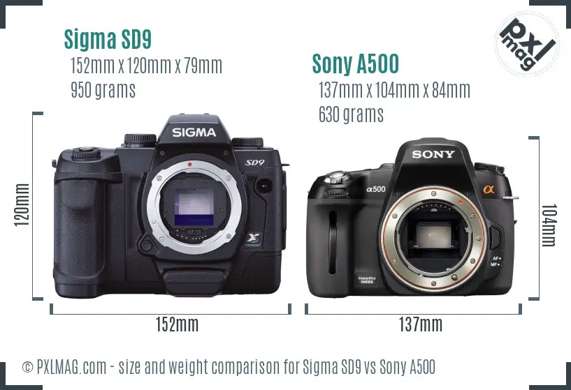 Sigma SD9 vs Sony A500 size comparison