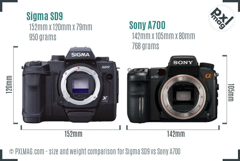 Sigma SD9 vs Sony A700 size comparison