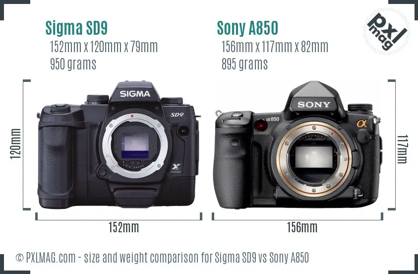 Sigma SD9 vs Sony A850 size comparison