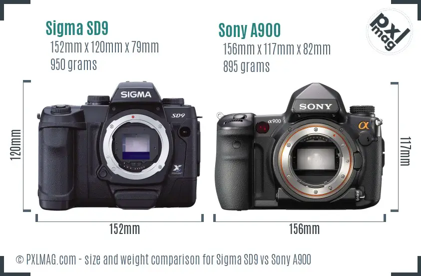 Sigma SD9 vs Sony A900 size comparison