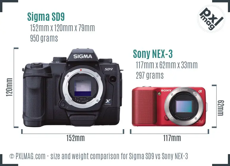 Sigma SD9 vs Sony NEX-3 size comparison