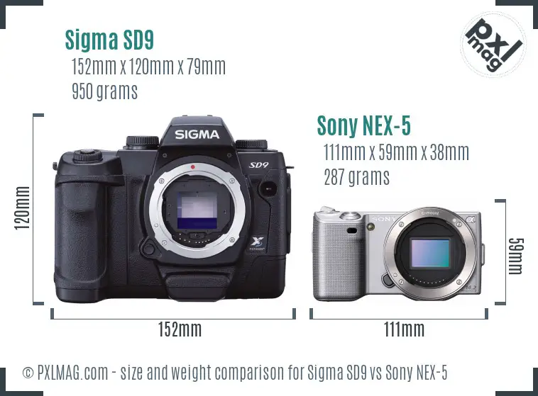 Sigma SD9 vs Sony NEX-5 size comparison