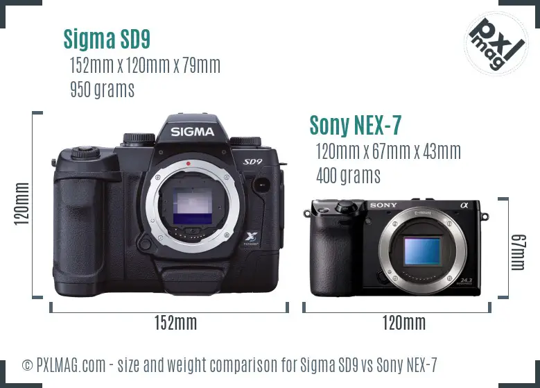 Sigma SD9 vs Sony NEX-7 size comparison
