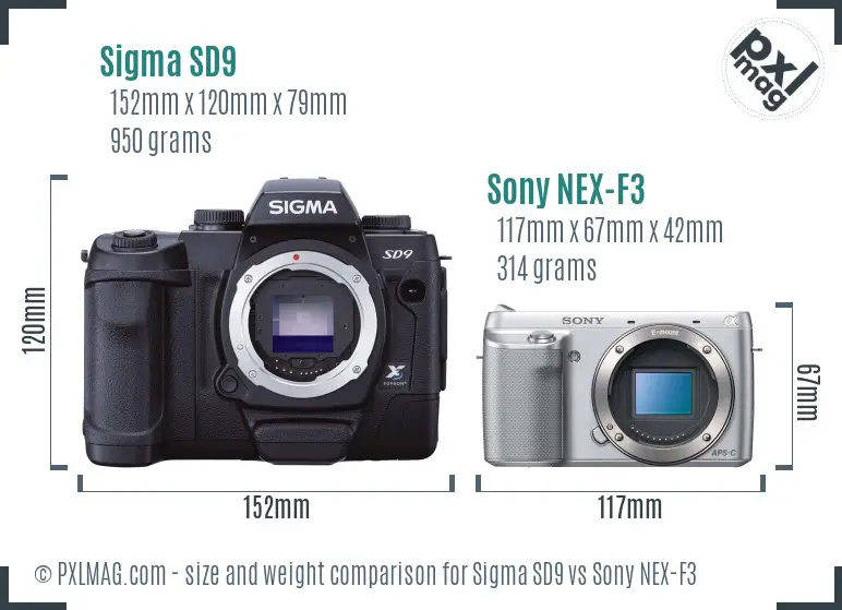 Sigma SD9 vs Sony NEX-F3 size comparison