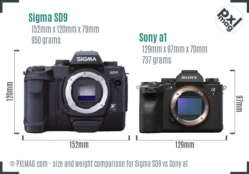 Sigma SD9 vs Sony a1 size comparison