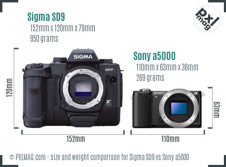 Sigma SD9 vs Sony a5000 size comparison