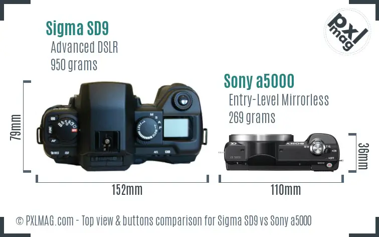 Sigma SD9 vs Sony a5000 top view buttons comparison