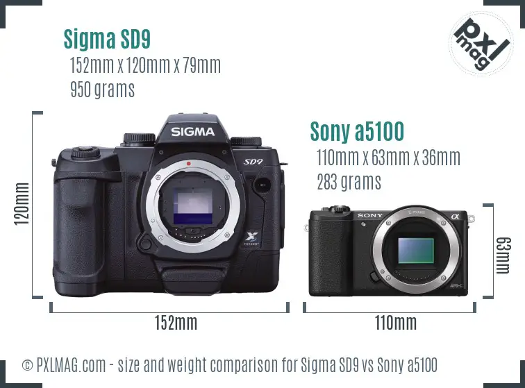 Sigma SD9 vs Sony a5100 size comparison