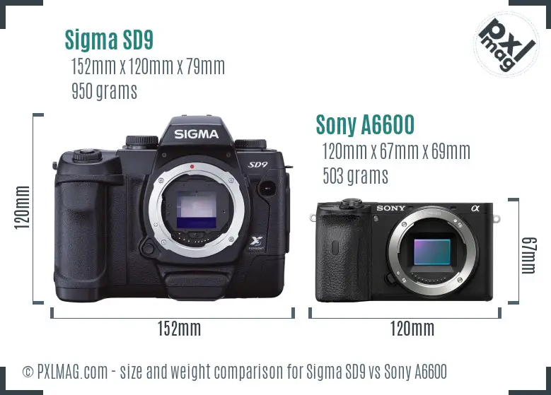 Sigma SD9 vs Sony A6600 size comparison Sigma SD9 vs Sony A6600 size comparison