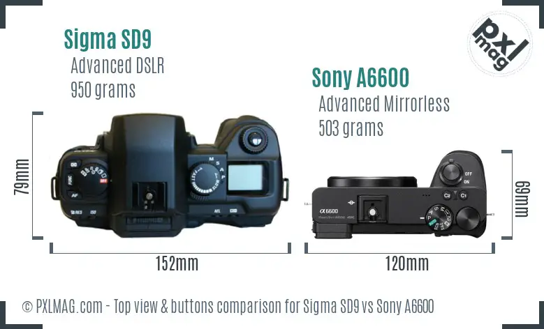 Sigma SD9 vs Sony A6600 top view buttons comparison Sigma SD9 vs Sony A6600 top view buttons comparison