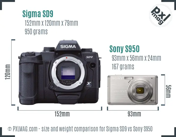 Sigma SD9 vs Sony S950 size comparison