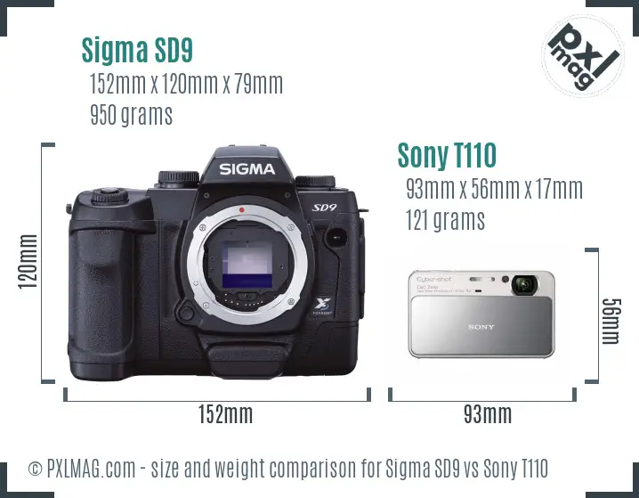 Sigma SD9 vs Sony T110 size comparison