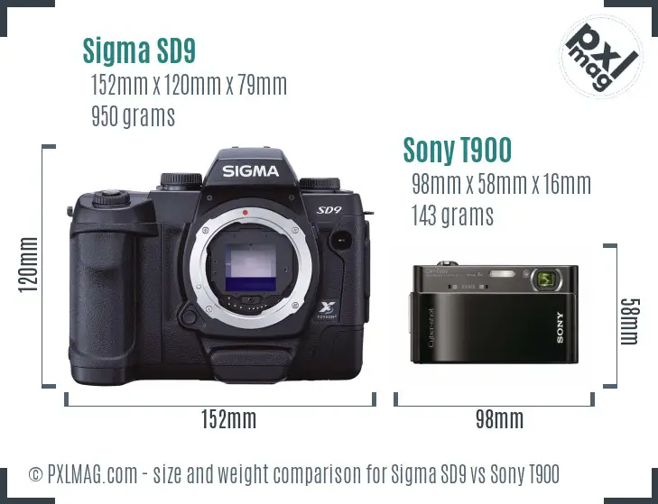 Sigma SD9 vs Sony T900 size comparison