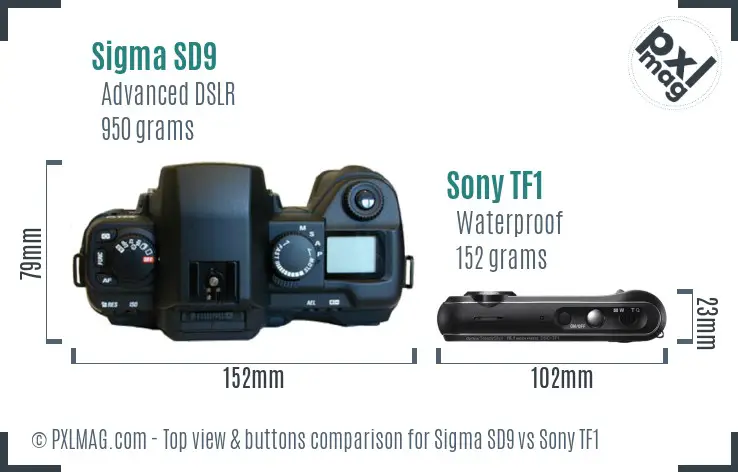 Sigma SD9 vs Sony TF1 top view buttons comparison