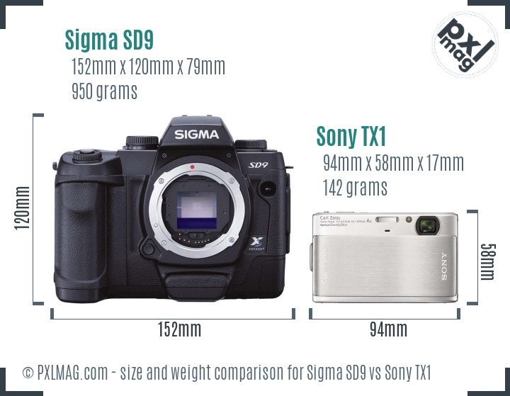 Sigma SD9 vs Sony TX1 size comparison