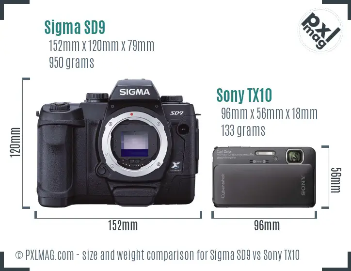 Sigma SD9 vs Sony TX10 size comparison