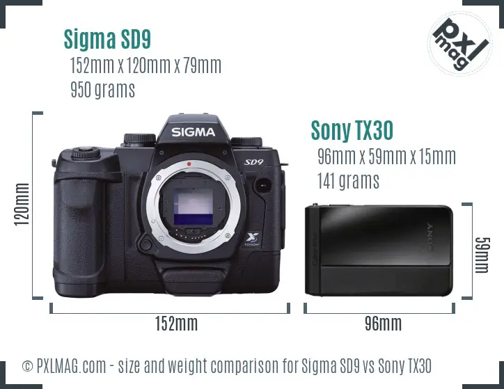Sigma SD9 vs Sony TX30 size comparison