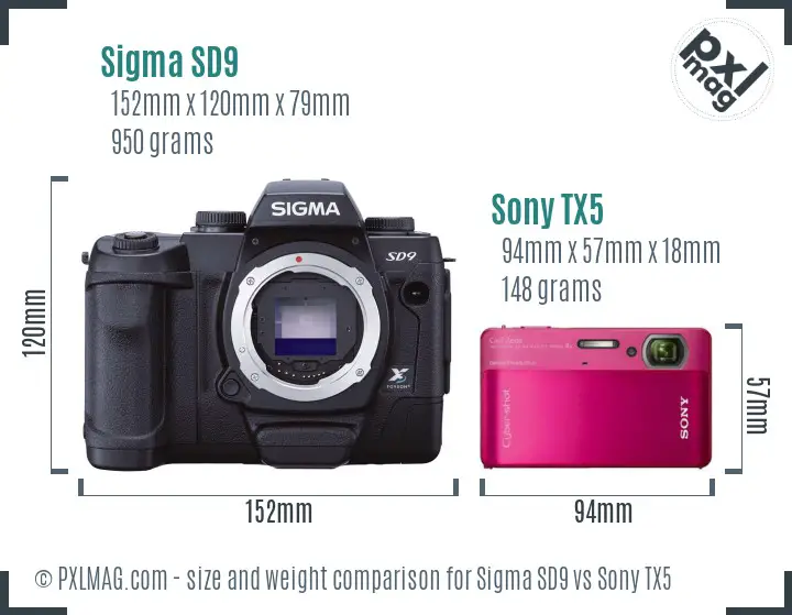 Sigma SD9 vs Sony TX5 size comparison