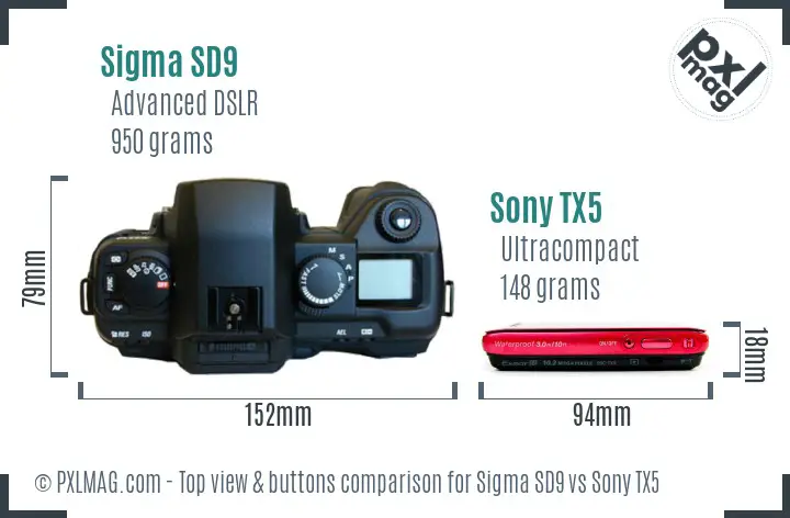 Sigma SD9 vs Sony TX5 top view buttons comparison